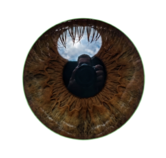 Iris Derecho